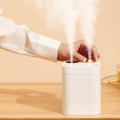 LED Light Heavy Fog Ultrasonic USB Home Air Humidifier 1000ML Double Nozzle Cool Mist Warm