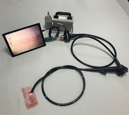 Portable Veterinary USB Video Gastroscope and Colonscope