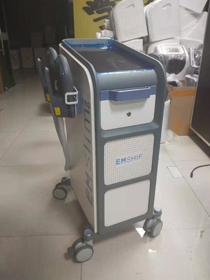 Slimming Machine Electrical Muscle Stimulation Machine Electromagnetic Body Sculpt Weight Loss Machine